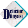 Logo Footer