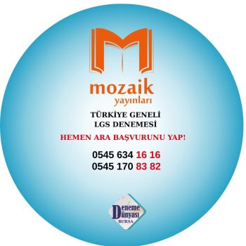 MOZAİK T.G. LGS-6